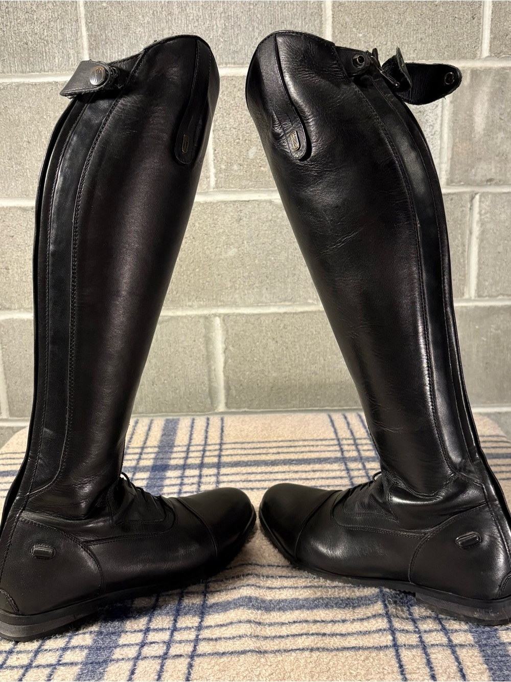 Tredstep Ireland Donatello tall field boots. - Picture 4 of 11